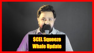 Whales on our side? CEL Short Squeeze Second Update on July 09
