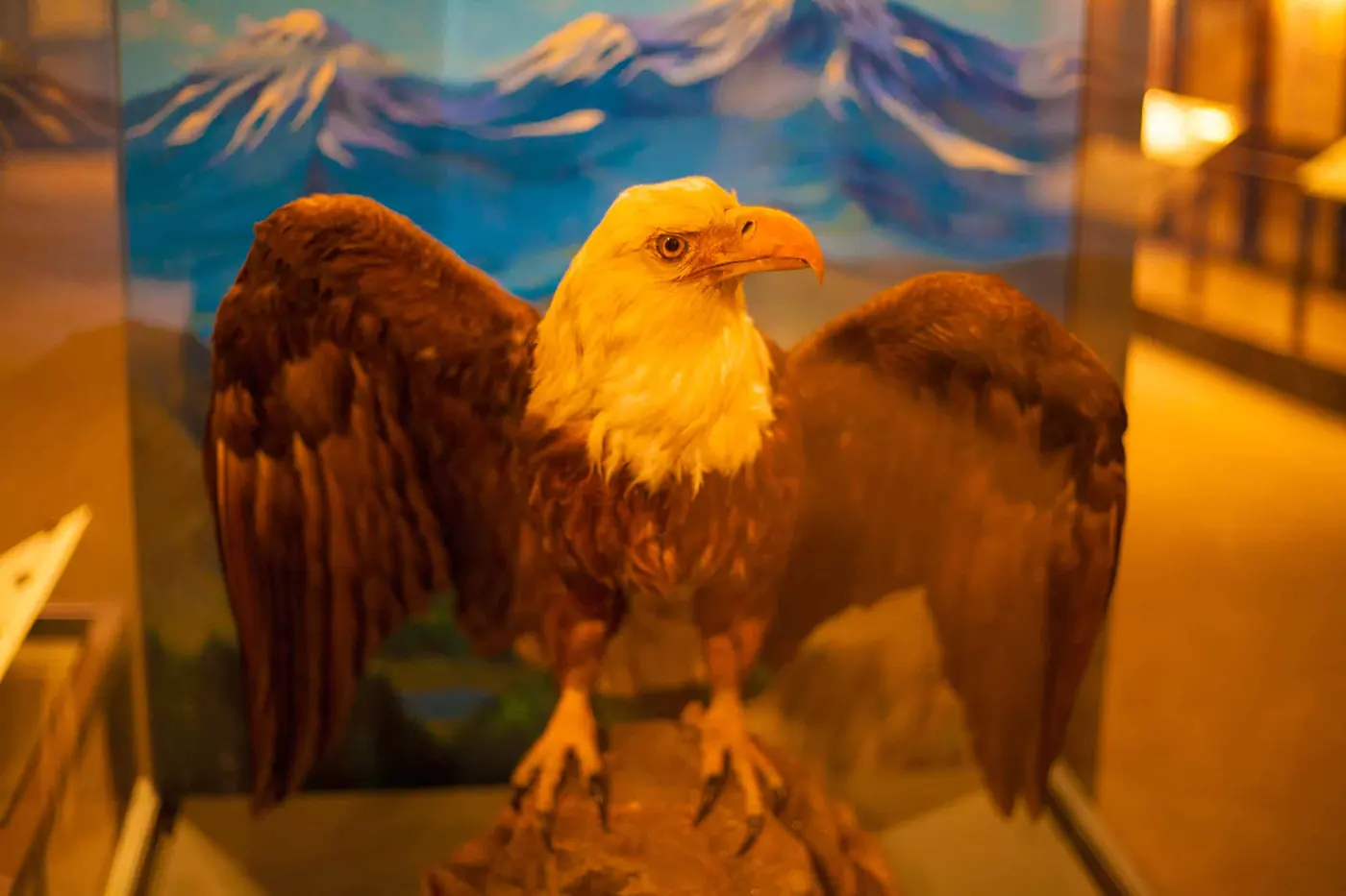 Think quantitatively like an eagle — Lakshya Behl